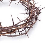 Crown of thorns